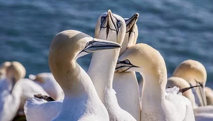 开云体育最新地址-李明全面爆发！攻防两端都做出巨大贡献！，李明筒历