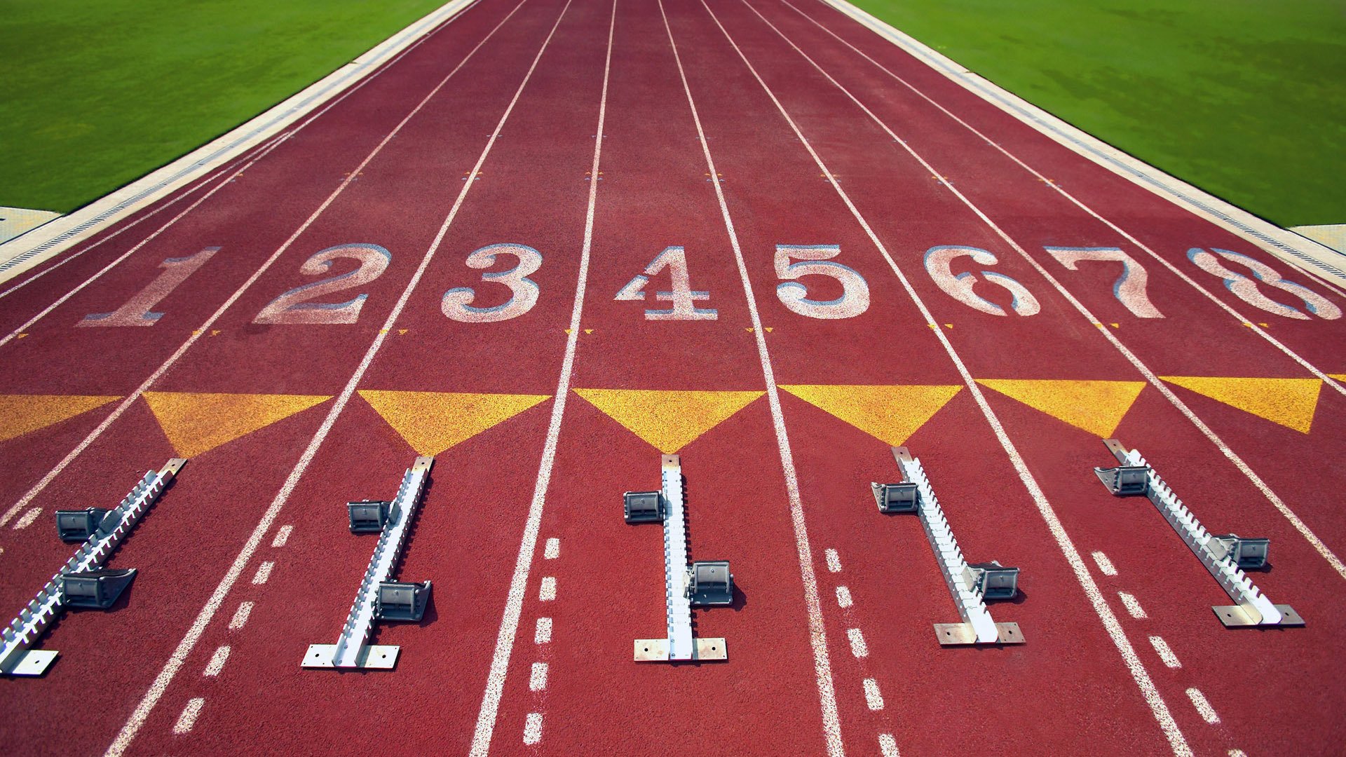随机比利时骑手多米安·米歇尔斯在2024年巴黎奥运会盛装舞步比赛中以“Dante”马匹获得第六名，展现坚韧精神。