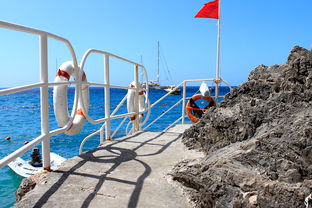 开云网页版-海湾者未来青训体系逐渐完善，海湾技术